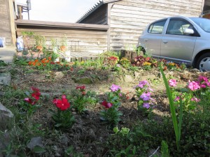 18986268_1356747291070000_1192636842_o