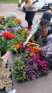 19021353_1358331590911570_1177843092_n