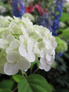 19029381_1361434857267910_1784699486004236111_n