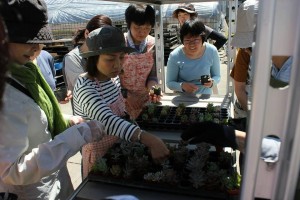 19029590_1362487123829350_7330304079373637924_n