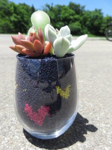 19030185_1362499300494799_2598043468357486415_n