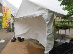 19030201_1361434693934593_2511694139816972250_n