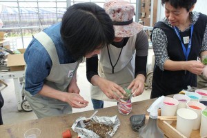 19030749_1362487500495979_5917603483523775429_n