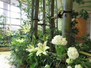 19059106_1361435170601212_4823181626936890858_n