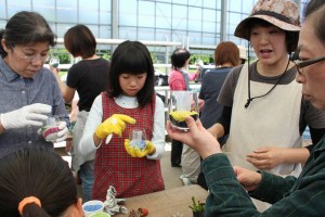 19059617_1362487223829340_2006786875037613652_n