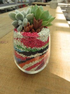 19060220_1362499193828143_2400486384264288427_n