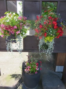 19142238_1365832393494823_1744315067_n