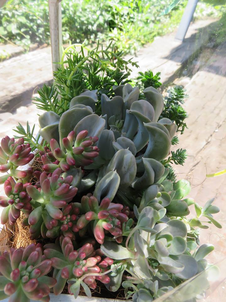 父の日のプレゼント☆