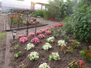 19221590_1369649669779762_2525633891450163612_o