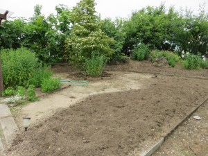 19237960_1369648489779880_6703917338784082159_o