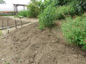 19243097_1369649223113140_5638899923243725336_o