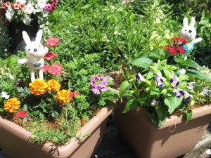 19250058_1368789116532484_1520167169_o