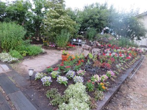 19250751_1369650869779642_3621631122740718753_o