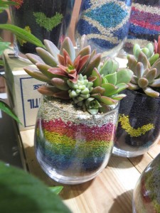 19250965_1376759522402110_1296005408_n