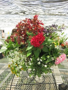 19251156_1375798685831527_577206861_n