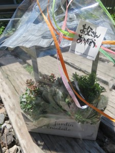 19251288_1367783813299681_1334559991_n