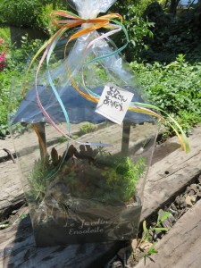 19265024_1367783786633017_800777534_n