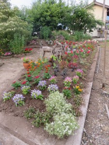 19366110_1369648529779876_573116359875493214_n