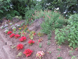 19388307_1369650043113058_7245450142106926719_o