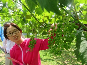 19390703_1370642546347141_7177472735476873023_o