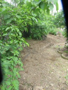 19399684_1369650149779714_6156465318407153125_n