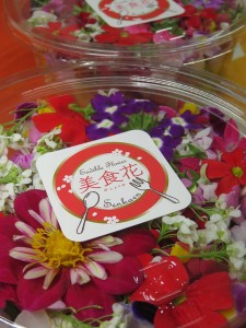 19441475_1374297279315001_55461274_n