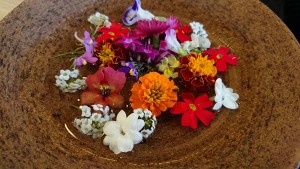 19457740_1374639992614063_500528907_o