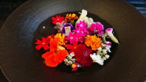 19457794_1374640002614062_1290587853_o