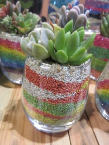 19458461_1376759515735444_656590167_n