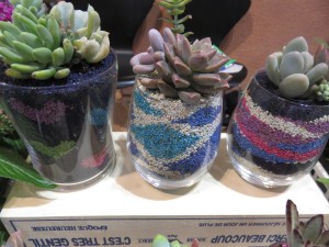 19495713_1376759662402096_1720733317_o