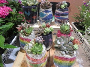 19495783_1376758839068845_1368392341_o