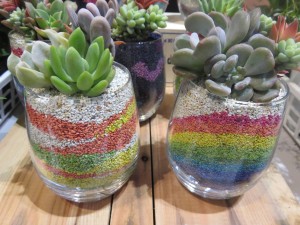 19495900_1376759649068764_816254061_o