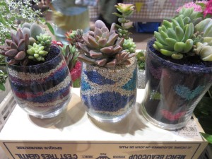 19496276_1376759525735443_1884200132_o