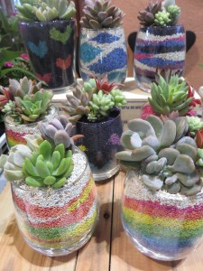 19512381_1376758829068846_1110375761_n