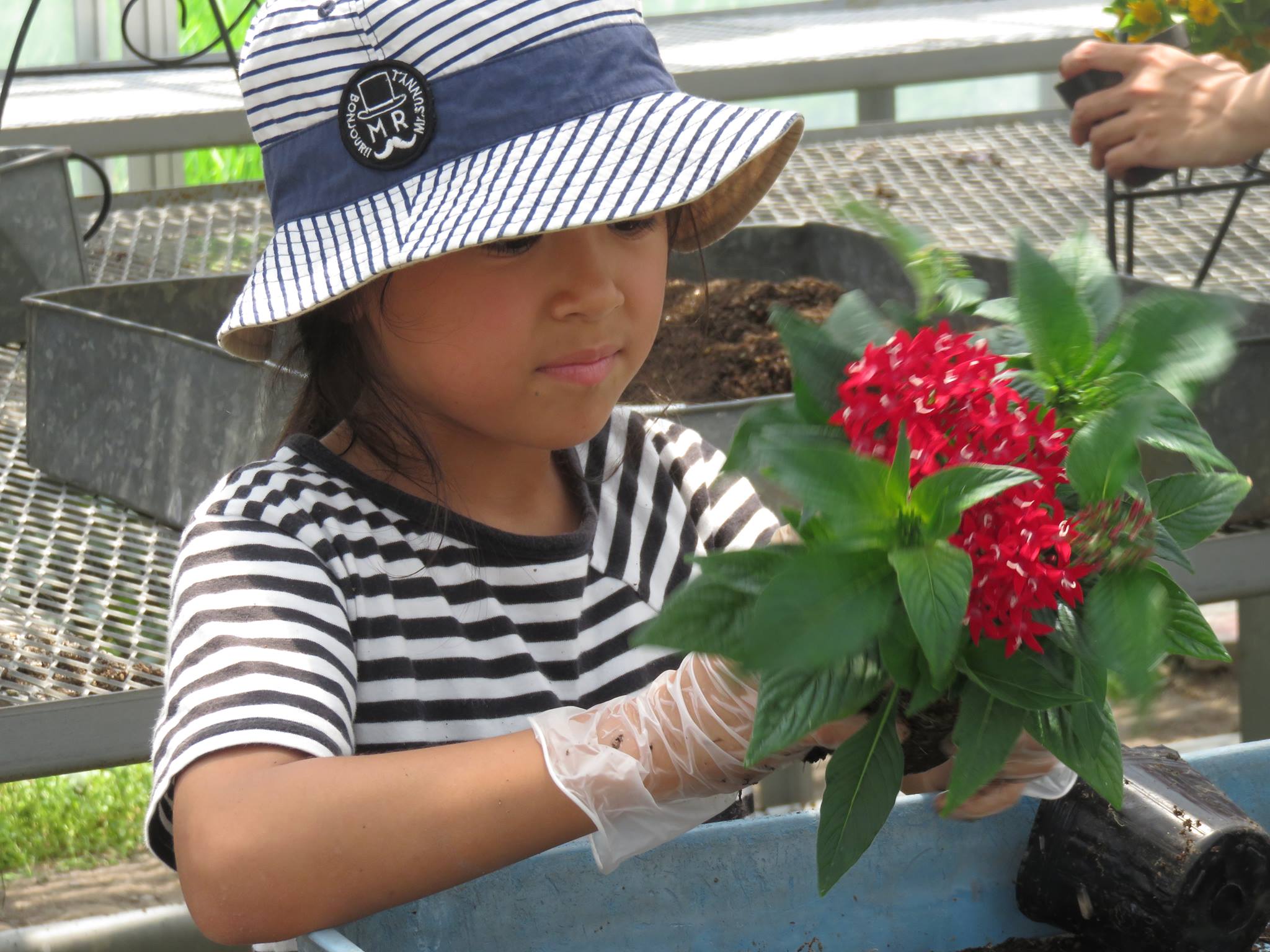 今月の「JOY☆ガーデニング隊」はハンギングバスケット作り