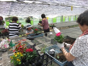 19531762_1375798692498193_916937392_o