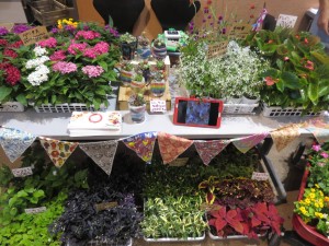 19531986_1376759529068776_1677920054_o