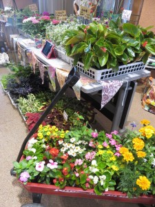 19550835_1376758865735509_562996053_n