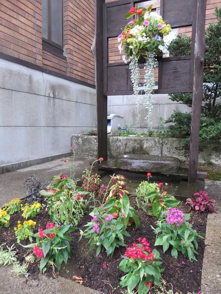 ようやく花壇のご依頼の植栽かんりょ☆