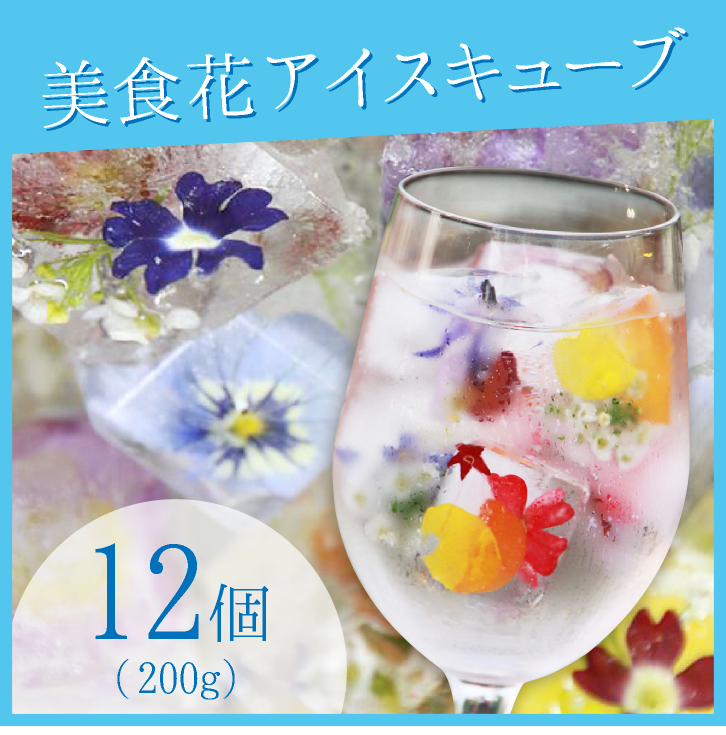 美食花アイスキューブが新登場！！
