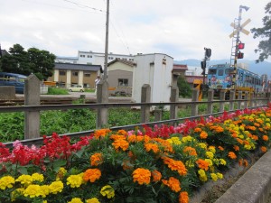 19532466_1390040581074004_859120508_o