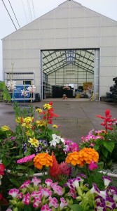 19554352_1384496861628376_7572250449555943197_n