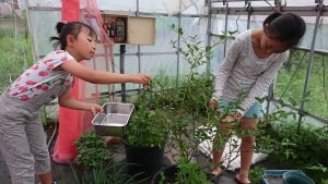 19598492_1383482811729781_4120663839868262264_n