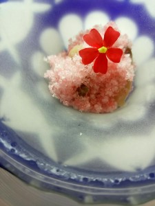 19642519_1246665998795587_7075694520874997625_n