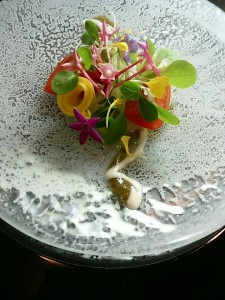 19642679_1246666078795579_7953513698055010769_n