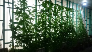 19727173_1388175931260469_1702309140_o