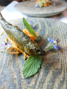 19748793_1246666402128880_2959791651546085870_n