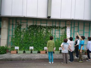 19749807_1388139901264072_835217446_o