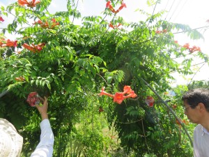 19814483_1390040364407359_200395581_o