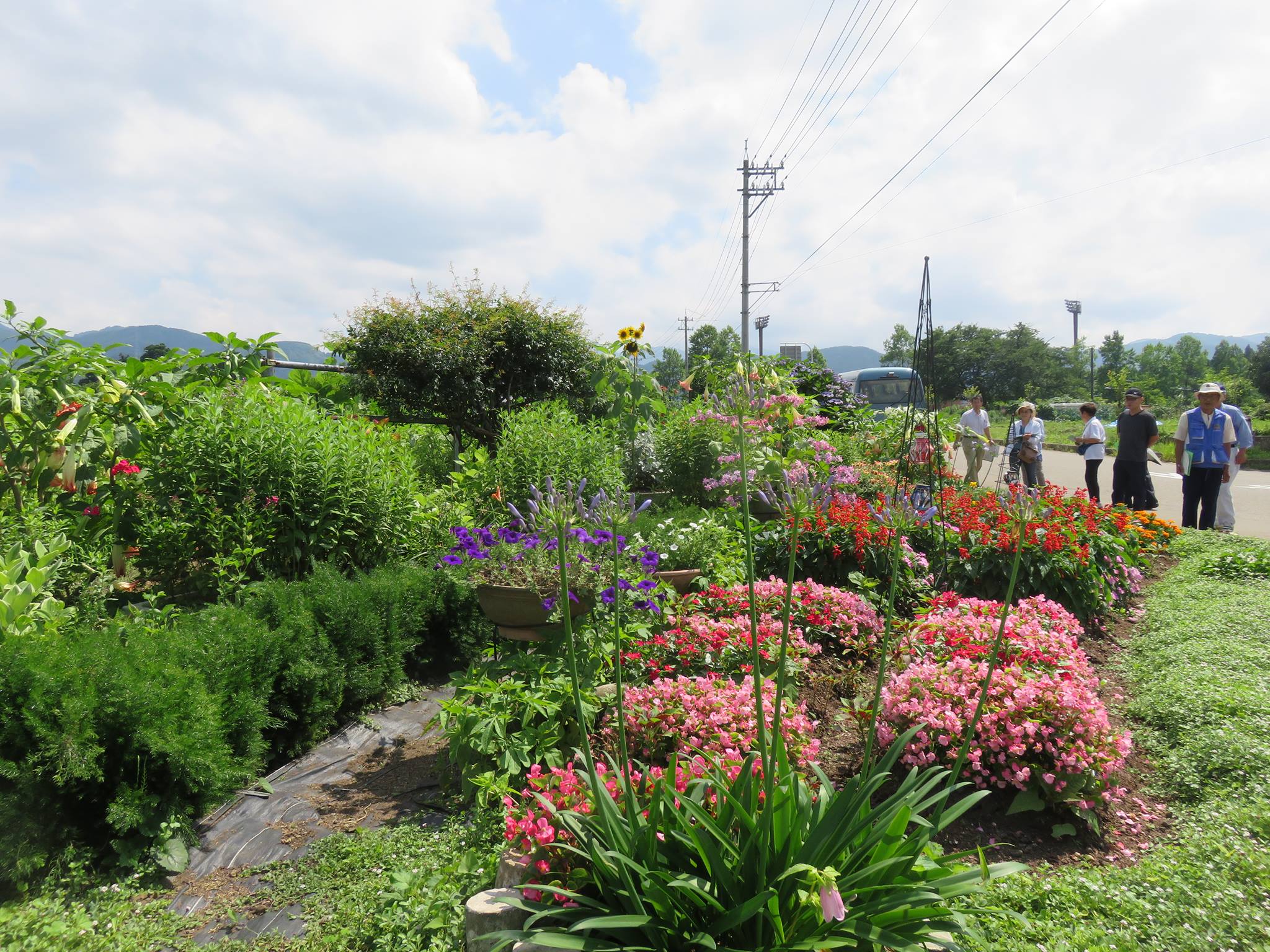 花壇コンクールの審査会